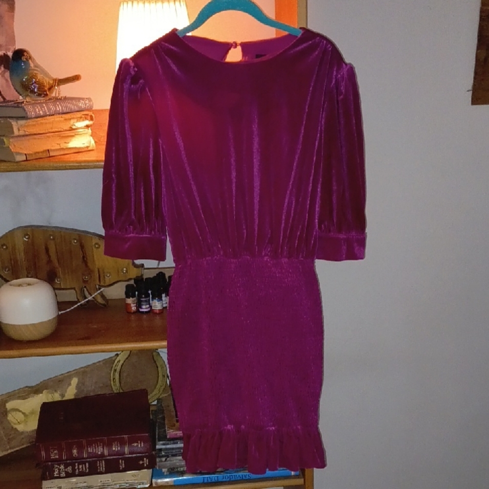 Forever 21 Women's Velvet Mini Dress in Magenta